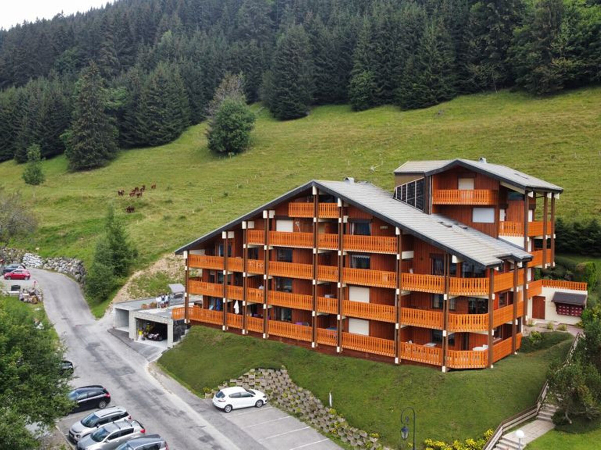 Appartement 2 pièces Châtel, 4 pers, garage - Photo 19