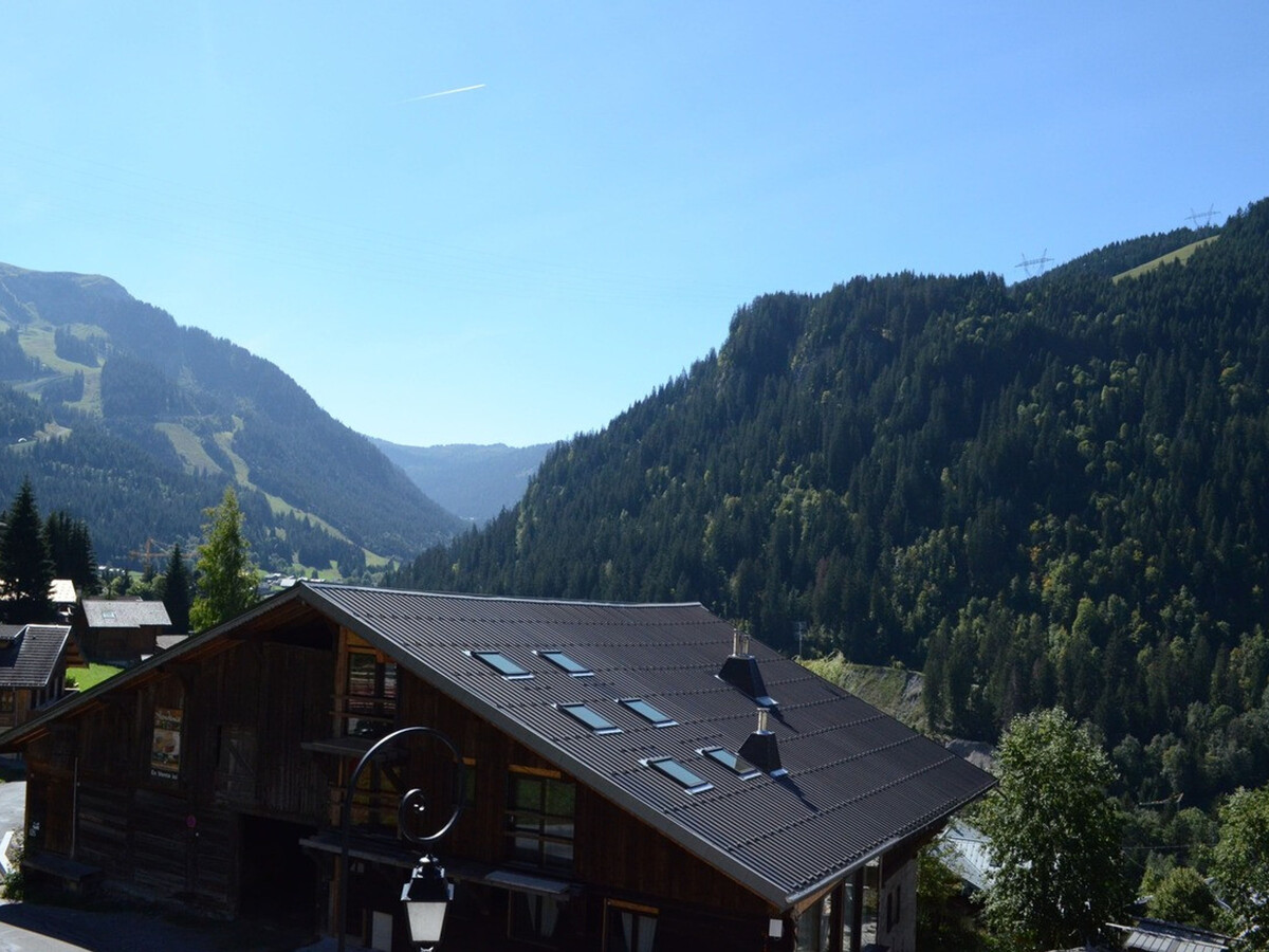 Appartement 80m² Châtel, 3 chambres, 8 pers, animaux OK - Photo 14