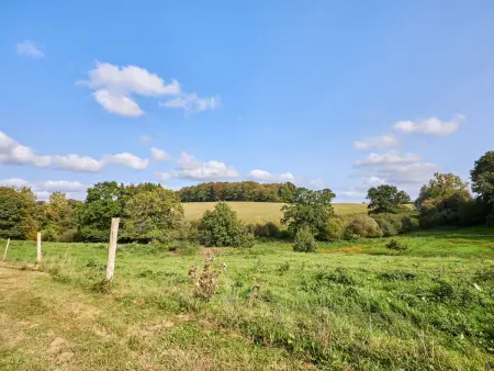 La Favrais, Maison 6 personnes à Saint aubin de terregatte - Photo 25
