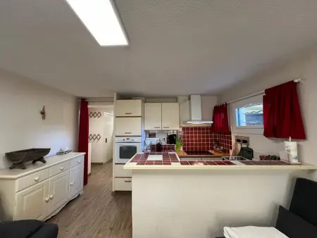 Location appartement à Pra Loup, Appartement spacieux 8 pers, jardin et WIFI, pro. commerces à Pra Loup