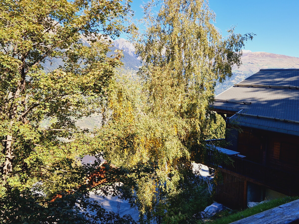 Chalet 3 chambres + mezzanine, vue Mont-Blanc à La Plagne - Photo 8