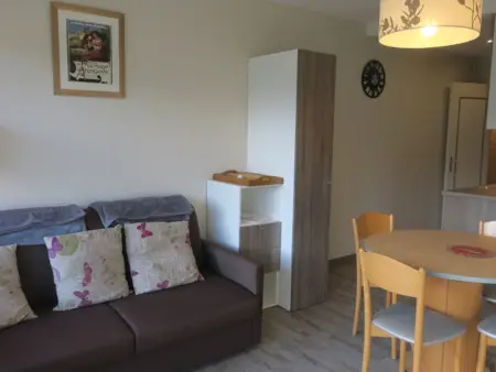 Location appartement à Châtel, Studio lumineux avec balcon et parking, animaux acceptés