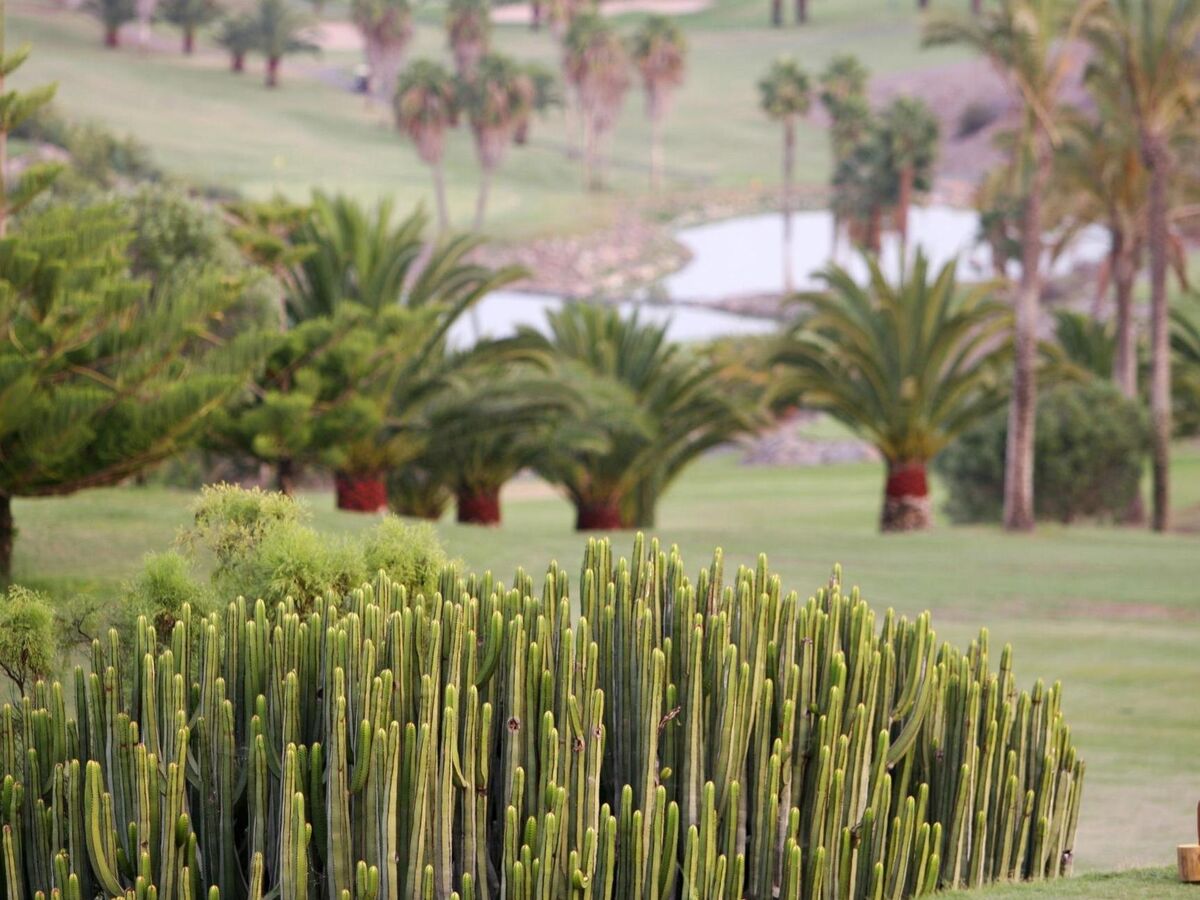 Villa Tipo Nº6 à Maspalomas, piscine privée - Photo 25