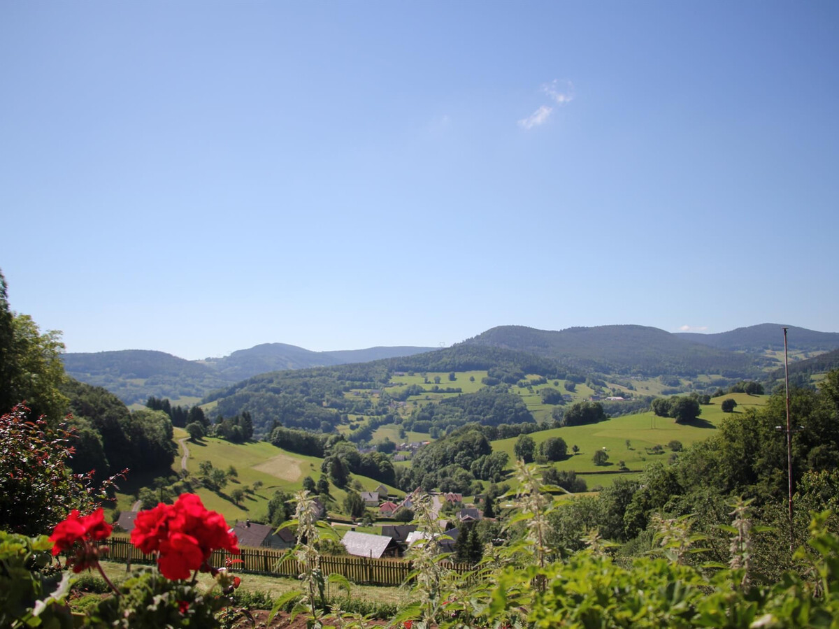 Gîte familial 6 pers. à Orbey, vue sur vallée - Photo 12