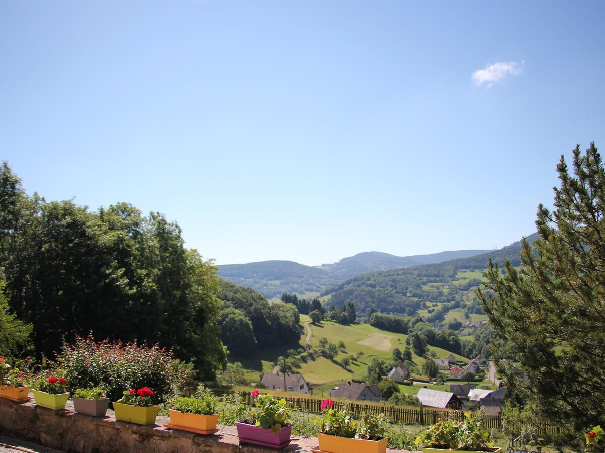 Gîte familial 6 pers. à Orbey, vue sur vallée - Photo 17