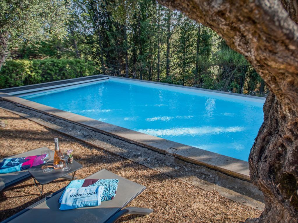 Villa Le Mas dormant en pierre, 4 chambres et piscine à Fayence - Photo 4