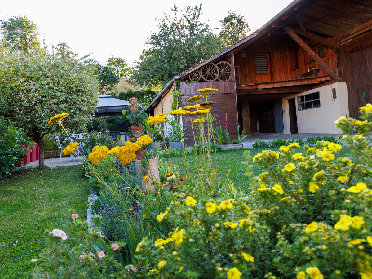 Gîte alsacien XVIIe siècle rénové, 5 pers., jardin fleuri - Photo 3