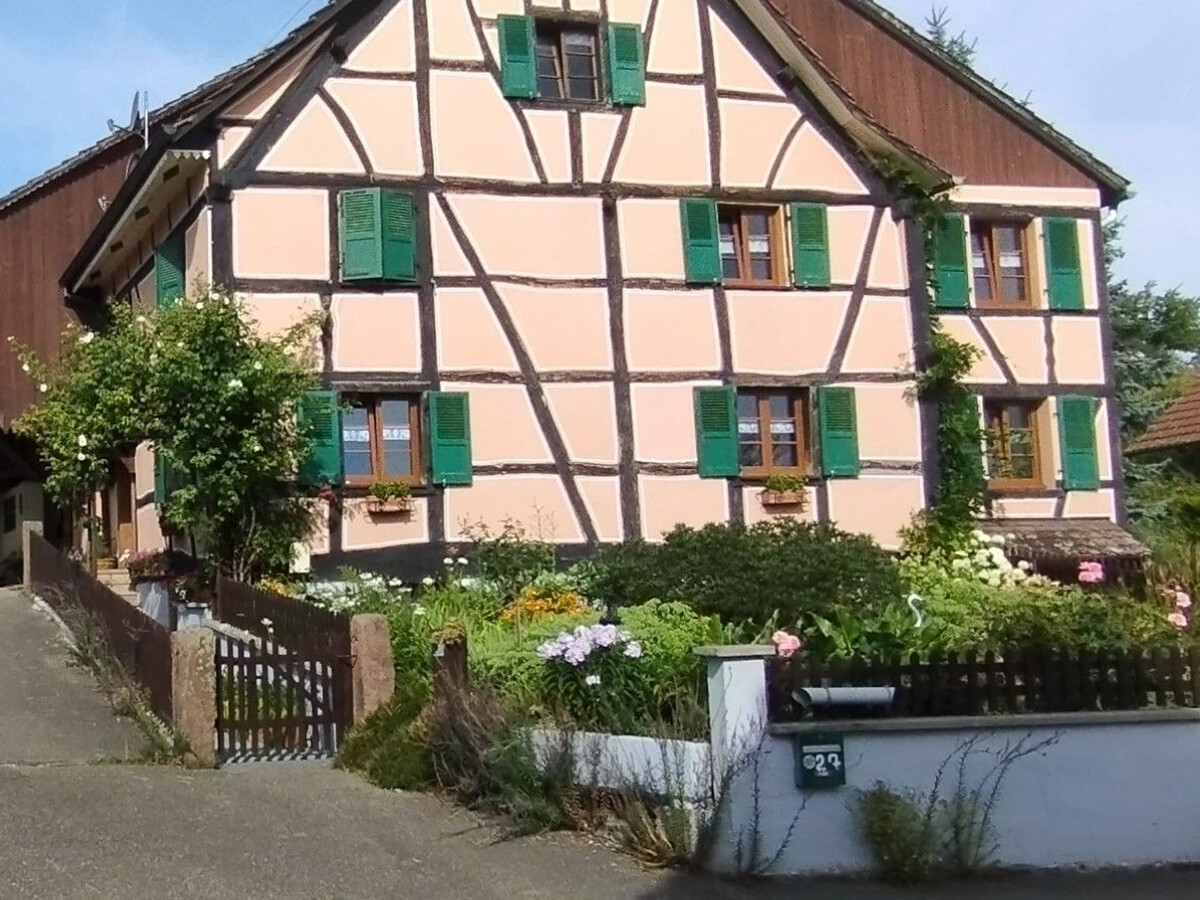 Gîte alsacien XVIIe siècle rénové, 5 pers., jardin fleuri - Photo 26
