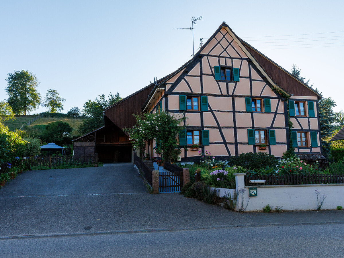 Gîte alsacien XVIIe siècle rénové, 5 pers., jardin fleuri - Photo 28