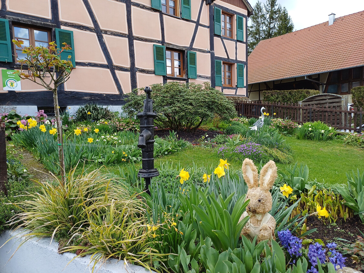 Gîte alsacien XVIIe siècle rénové, 5 pers., jardin fleuri - Photo 35