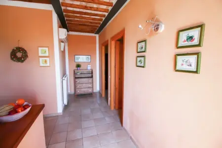 Gîte Corbezzolo : ferme 4 pers. à 3 km de la mer : photo 22