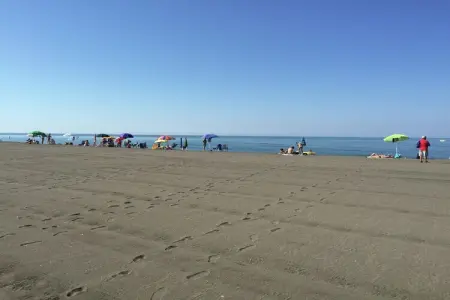 Gîte Corbezzolo : ferme 4 pers. à 3 km de la mer : photo 40