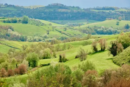 Villa Laurentia, Villa à Magliano Sabina avec piscine privée - Photo 30
