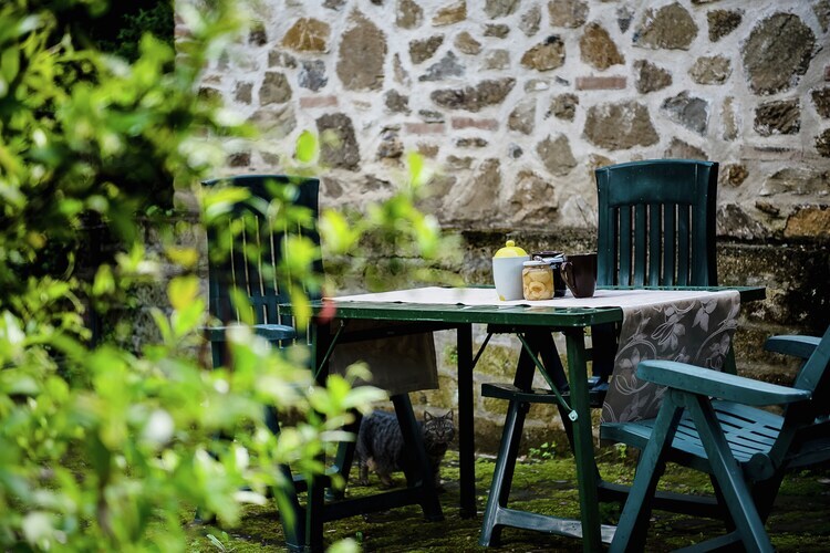 Maison Olivia à Paciano, piscine et lac Trasimène - Photo 38