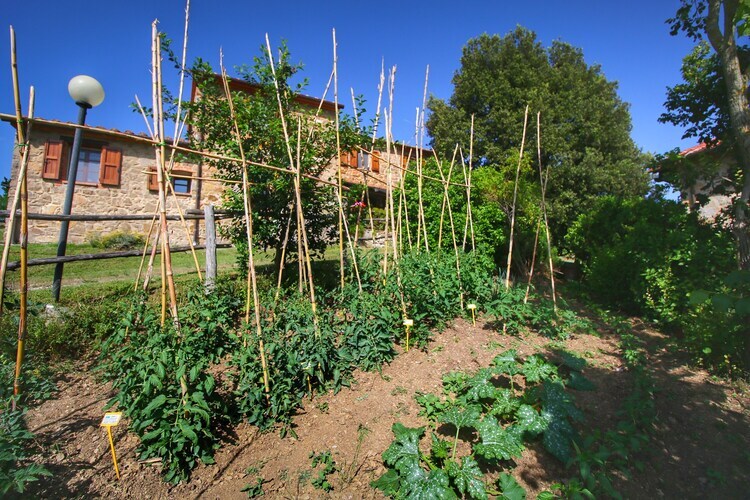 Ferme Club House à Paciano, au cœur du Monte Pausillo - Photo 30