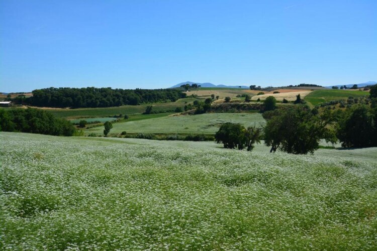 Fienile, gîte de ferme à 700 m d'altitude - Photo 26