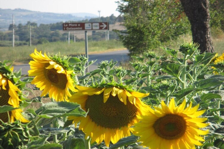 Fienile, gîte de ferme à 700 m d'altitude - Photo 28