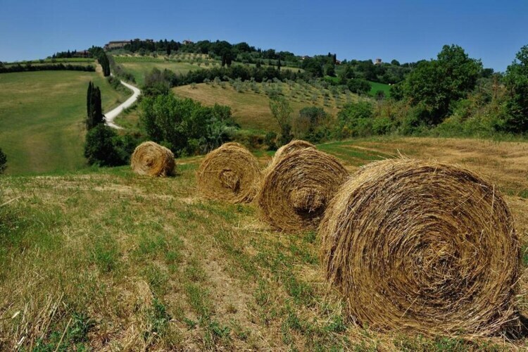 Fienile, gîte de ferme à 700 m d'altitude - Photo 32