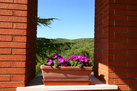 Casa Miralago – Maison 7 personnes avec jardin à Magione : photo 25
