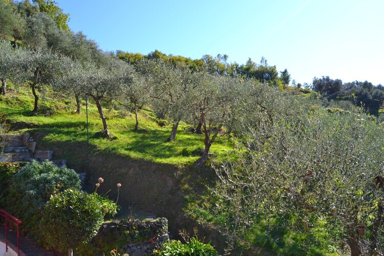 Pizzamiglio Due – Maison 4 pers. à Moneglia, 5 km de la mer - Photo 18