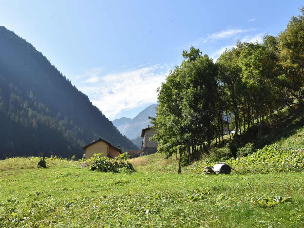 Appartement rustique Valle di Tartano, jardin et vue montagne - Photo 45