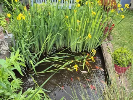 Le Paradis bleu – Gîte 6 pers. avec jardin paysagé : photo 29