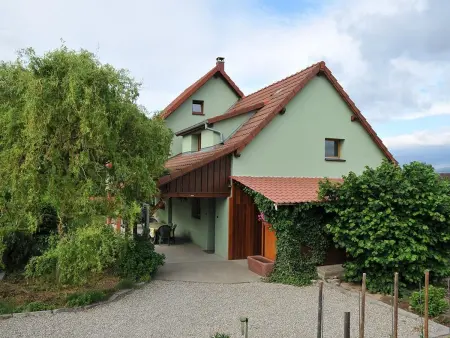 Gîte lumineux et calme avec terrasse, barbecue et parking à 5 km de Colmar - Photo 1