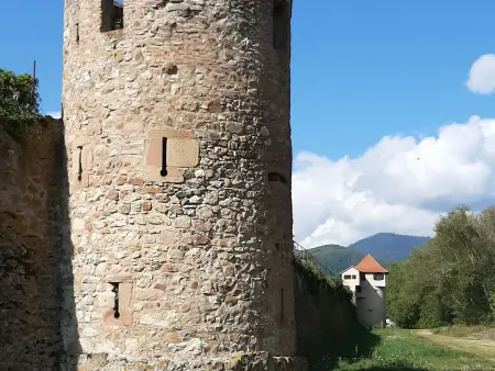 Gîte 2 personnes en bordure vignoble, entrée indépendante - Photo 32