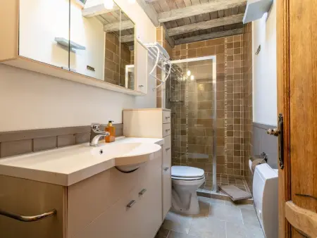 Au Ballon : maison ardennaise avec spa nordique et sauna IR à Manhay : photo 9