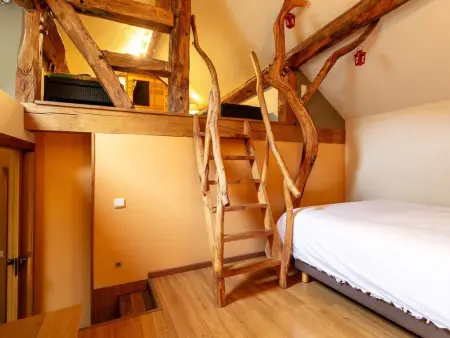 Au Ballon : maison ardennaise avec spa nordique et sauna IR à Manhay : photo 20