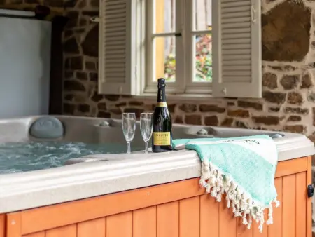 Au Ballon : maison ardennaise avec spa nordique et sauna IR à Manhay : photo 31