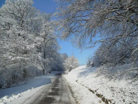 Au Ballon : maison ardennaise avec spa nordique et sauna IR à Manhay : photo 41