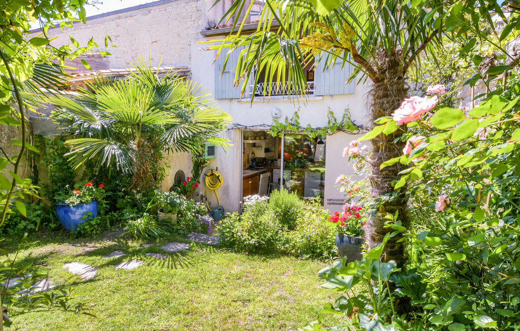 Maison 2 chambres avec jardin à Saint-Martin-de-Ré - Photo 1