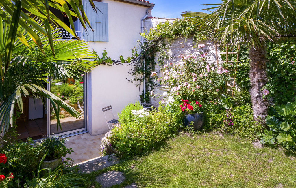 Maison 2 chambres avec jardin à Saint-Martin-de-Ré - Photo 10