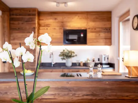 Location appartement à Villars, Ambassadeur 12