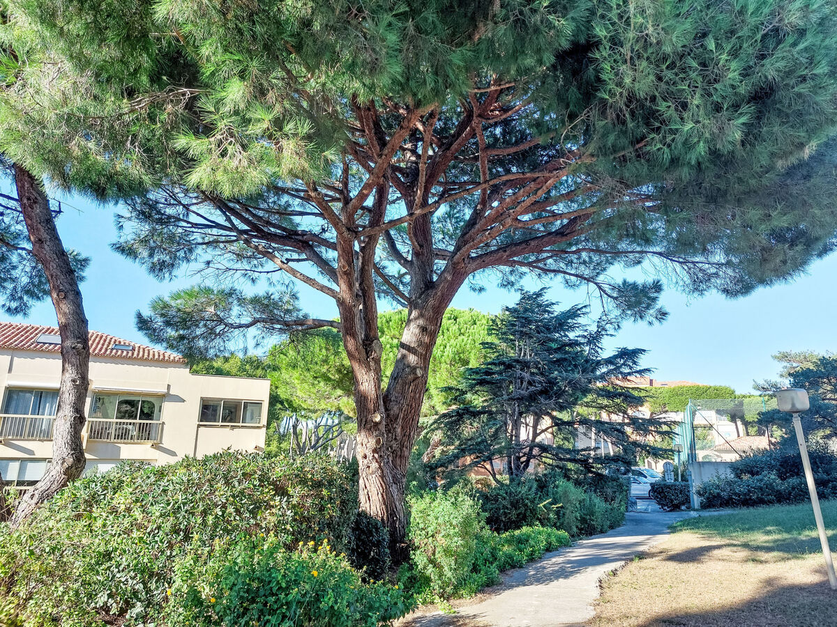 Appartement vue mer à 100 m de la plage, résidence Les Marines d'Aryana - Photo 25