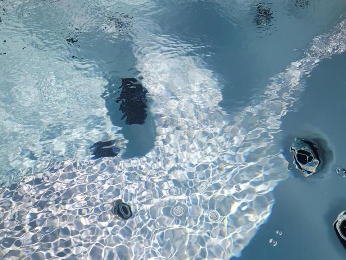 Gîte rénové piscine chauffée et spa à Couzon - Photo 25