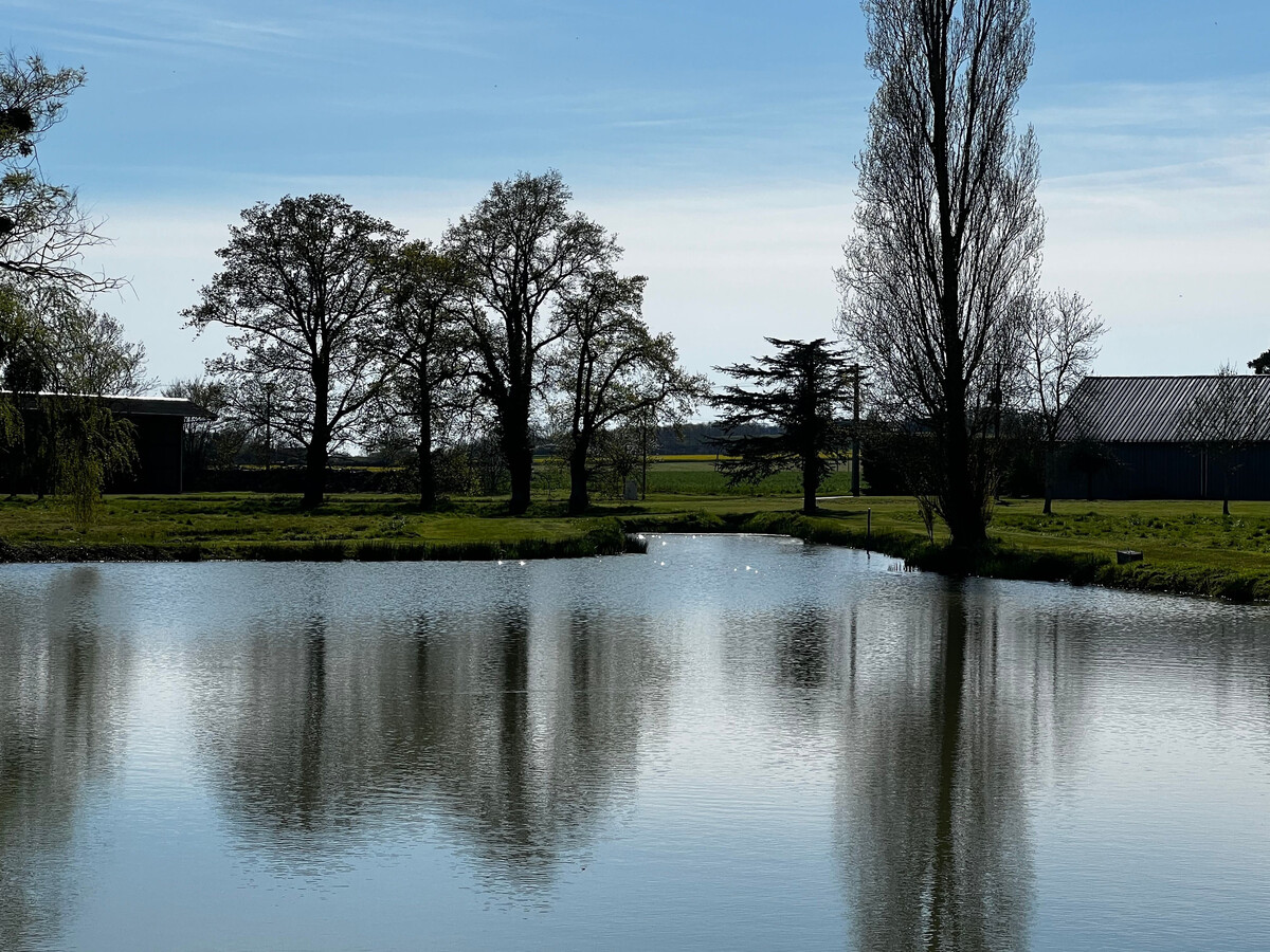Gîte 6 pers. avec accès étangs et pêche en Berry - Photo 18