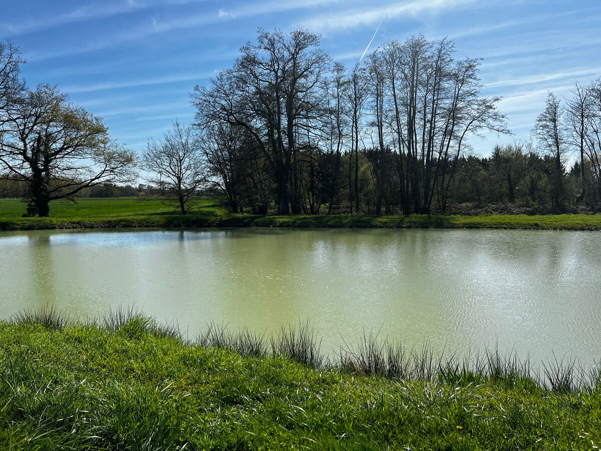 Gîte 6 pers. avec accès étangs et pêche en Berry - Photo 19