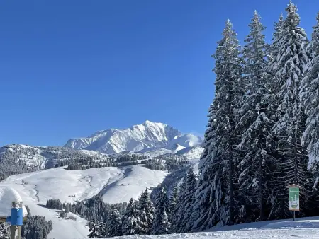 Chalet 260m² 6 chambres, 250m des pistes de Notre-Dame-de-Bellecombe : photo 10