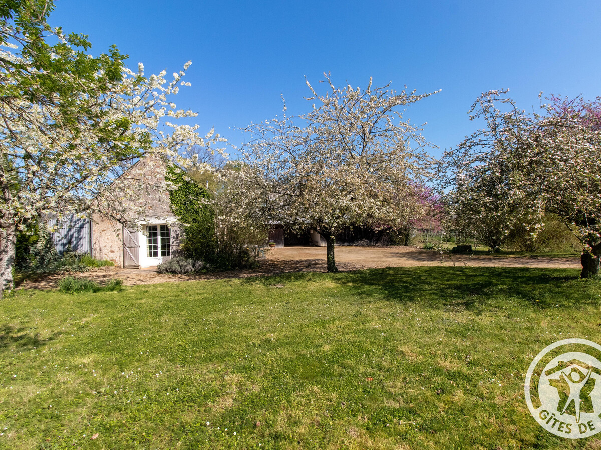 Gîte 6 pers. entre vignes et troglodytes à Brissac-Loire-Aubance - Photo 6