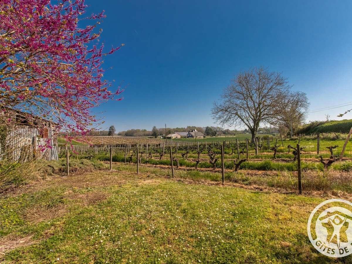 Gîte 6 pers. entre vignes et troglodytes à Brissac-Loire-Aubance - Photo 22