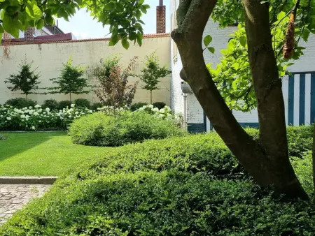 Maison Bourgeoise 15 Pers., Cour Privative 400m², Abscon : photo 21
