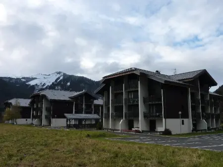 Studio 19m² à Montriond, navette pistes gratuite : photo 10
