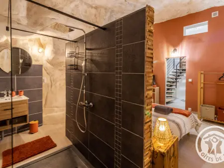 Gîte troglodyte avec jacuzzi et billard aux Ulmes : photo 19