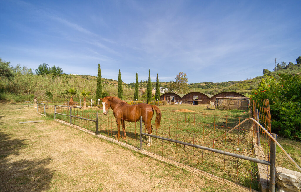 Casale del Golfo, Maison 30 personnes à Alcamo - Photo 8