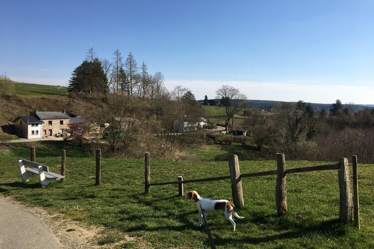 Les 5 Ourthes – Lodge 28 pers., 13 chambres à Houffalize - Photo 30