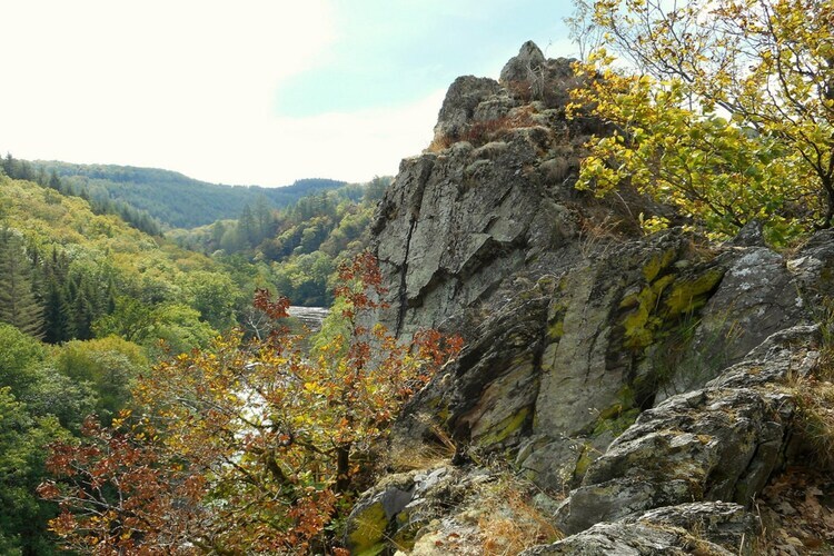 Les 5 Ourthes – Lodge 28 pers., 13 chambres à Houffalize - Photo 36