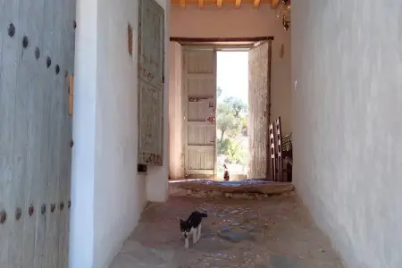 Hacienda Mellado, Ferme andalouse pour ateliers, retraites ou événements - Photo 5