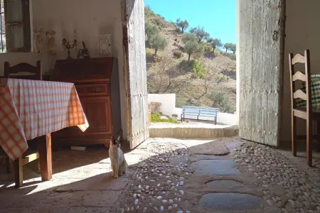 Hacienda Mellado, Ferme andalouse pour ateliers, retraites ou événements - Photo 11